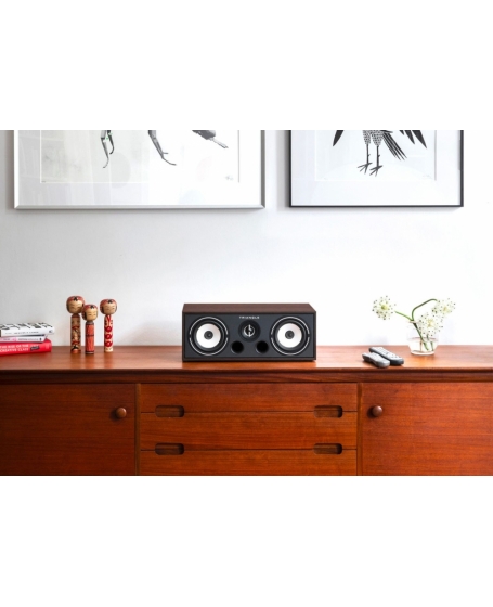 Triangle Borea BRC1 Center Speaker (DU)