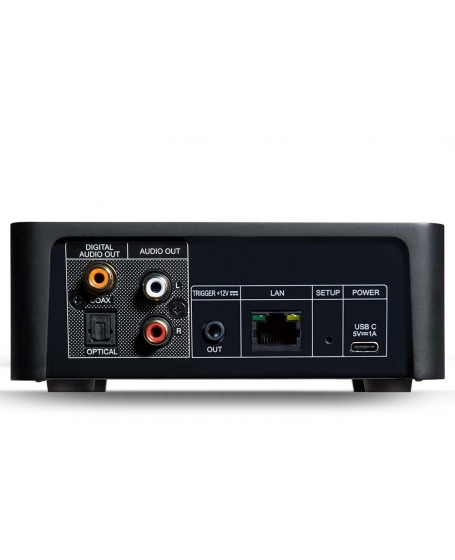 NAD CS1 Endpoint Network Streamer