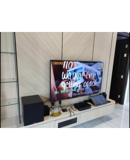 Pro Ktv SK210 MK3 + Wireless Mic 全能音响 + 无线麦