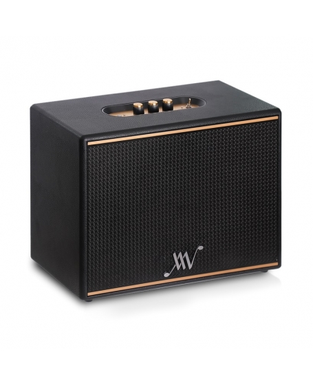 Alpha Works Classic V100 Retro Bluetooth Speaker With Karaoke