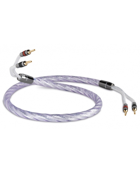 QED Genesis Silver Spiral Speaker Cable 3m x 2 (PL)