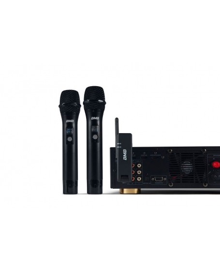 BMB WH-210 Dual Wireless Microphone