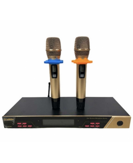 BIK BJ-U600 Professional Wireless Microphone