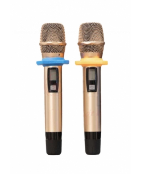 BIK BJ-U600 Professional Wireless Microphone