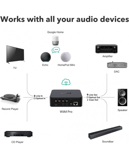 WiiM Pro Wireless Audio Streamer