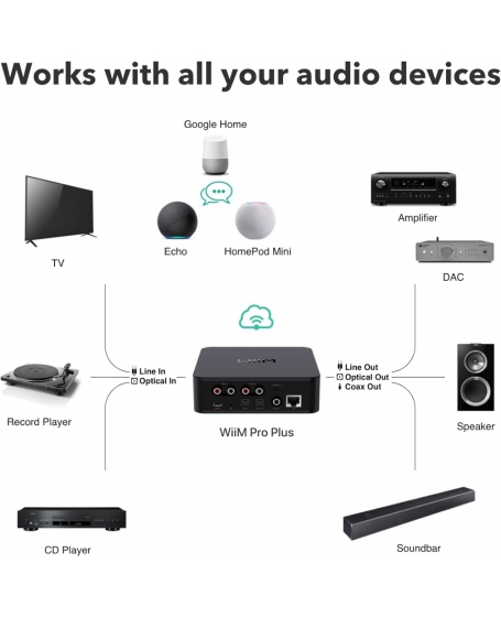 WiiM Pro Plus Wireless Audio Streamer