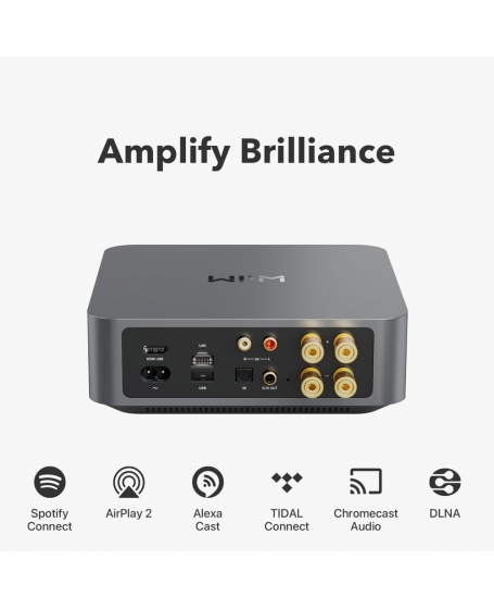 Wiim Amp Streaming Amplifier