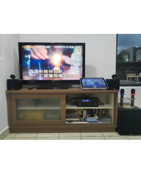 Pro Ktv SK210 MK3 Compact Audio System 全能音响