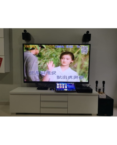 Pro Ktv SK210 MK3 Compact Audio System 全能音响