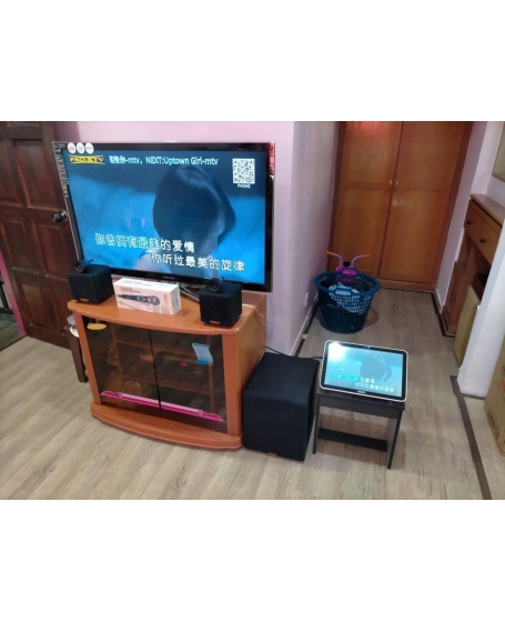 Pro Ktv SK210 MK3 Compact Audio System 全能音响