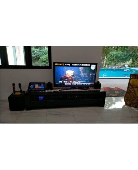 Pro Ktv SK210 MK3 Compact Audio System 全能音响