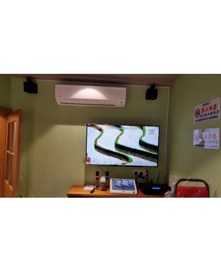 Pro Ktv SK210 MK3 Compact Audio System 全能音响