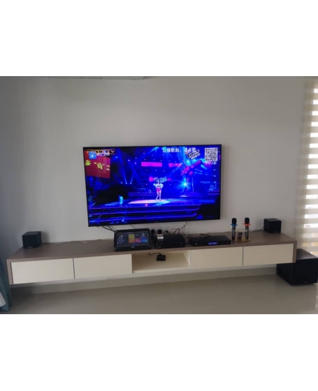 Pro Ktv SK210 MK3 Compact Audio System 全能音响