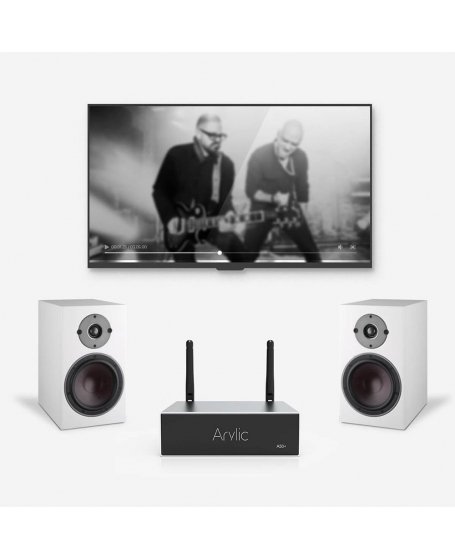 Arylic A50+ Wireless Multiroom Stereo Amplifier (DU)