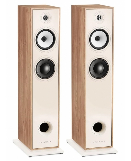 Triangle Borea BR07 Floorstanding Speaker (DU)