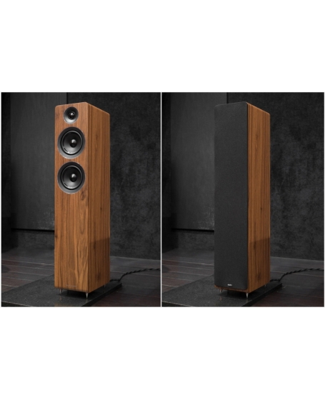 Acoustic Energy AE109 Floorstanding Speakers (DU)