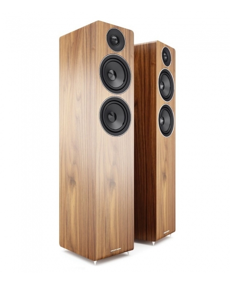 Acoustic Energy AE109 Floorstanding Speakers (DU)