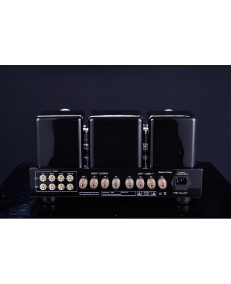 Willsenton R300 Plus (300B) Tube Amplifier