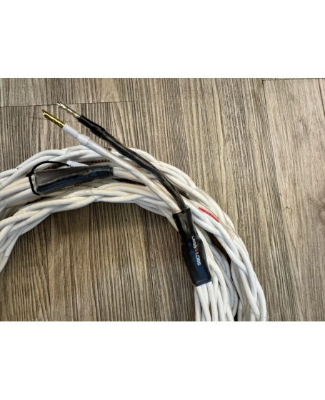 Atelier Rullit VKll Speaker Cable 3Meter x 2 Made In Germany (PL)