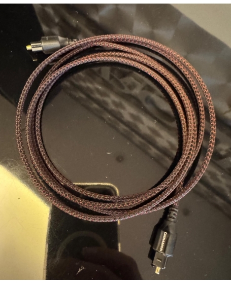Audioquest Cinnamon Optical Cable 1.5Meter (PL)