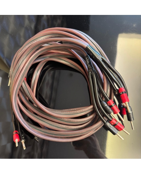 Audioquest Rocket 33 Bi-Wire Speaker Cable (3m x 2) With Banana Plugs (PL)