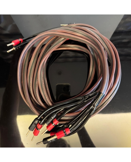Audioquest Rocket 33 Bi-Wire Speaker Cable (3m x 2) With Banana Plugs (PL)