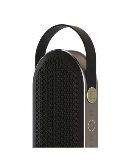 Dali Katch G2 Bluetooth Speaker
