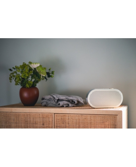 Dali Katch G2 Bluetooth Speaker