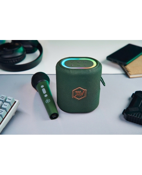 Alpha Works AW-Sonik Plus Bluetooth Party Speaker with Built‑in Karaoke