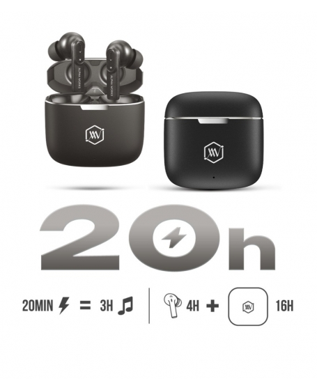 Alpha Works AW-Curve 300 True Wireless Earbuds - TOOS