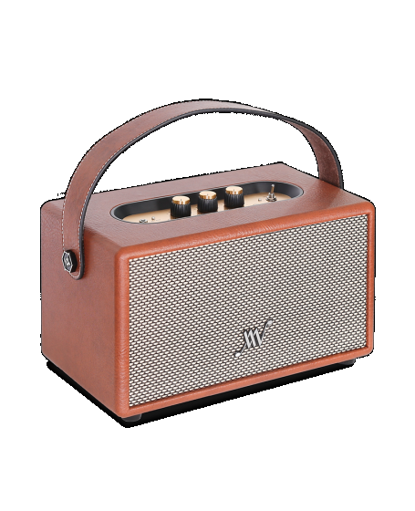 Alpha Works Classic V60 Retro Bluetooth Speaker With Karaoke (DU)