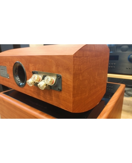 Wharfedale Diamond 9.CS Center Speaker (PL)