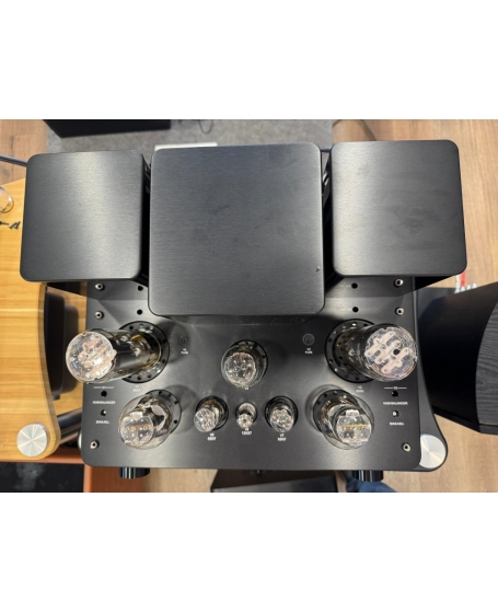 Willsenton R800i 805 Integrated Tube Amplifier (PL)