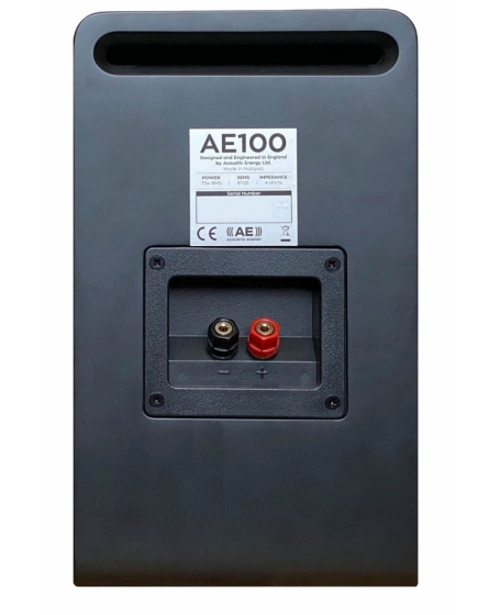 Eversolo Play + Acoustic Energy AE100 Hi-Fi System Package