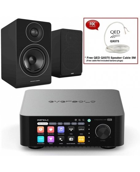 Eversolo Play + Acoustic Energy AE100 Hi-Fi System Package