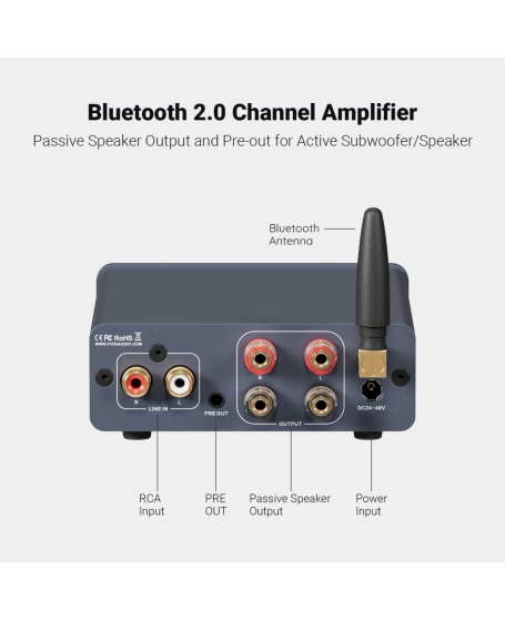Fosi Audio BT20A Pro-DG-48V Bluetooth Stereo Power Amp