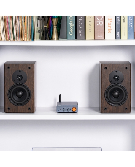 Fosi Audio BT20A Pro-DG-48V Bluetooth Stereo Power Amp