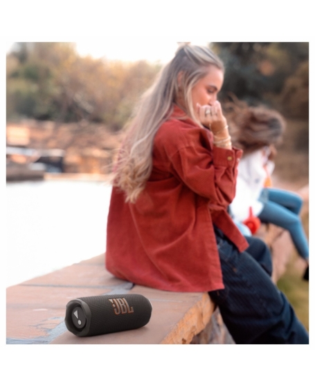 JBL Flip 7 Portable Waterproof Bluetooth Speaker