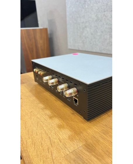 Hifi ROSE RS201E HiFi Network Media Player Made In Korea (PL)