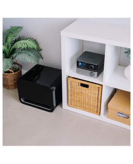 WiiM Sub Pro 8