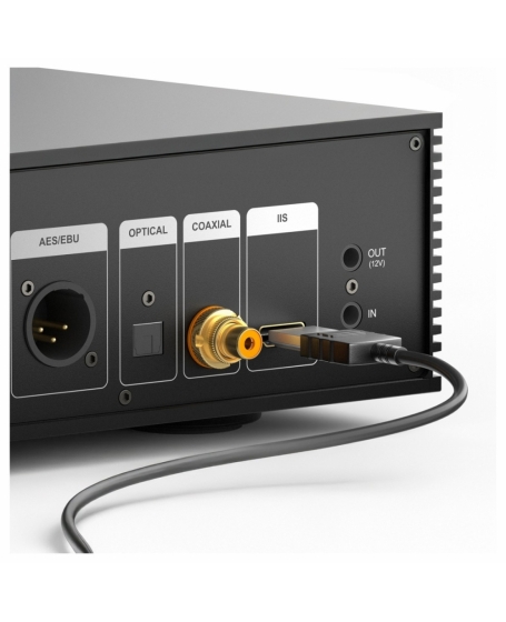 Eversolo T8 Streaming Transport