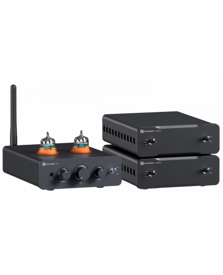 Fosi Audio P3 Pre + Fosi Audio V3-48V5A MonoBlock Package