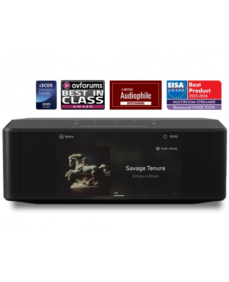 Bluesound Node Icon Reference Music Streamer